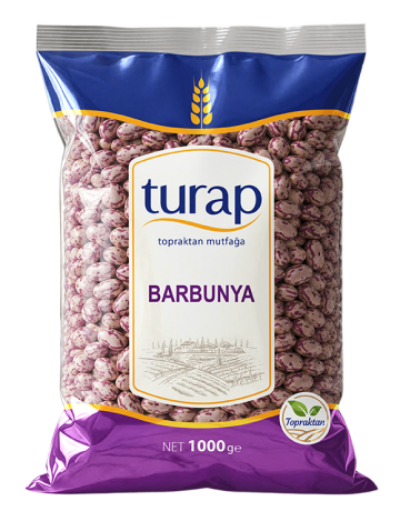 Barbunya